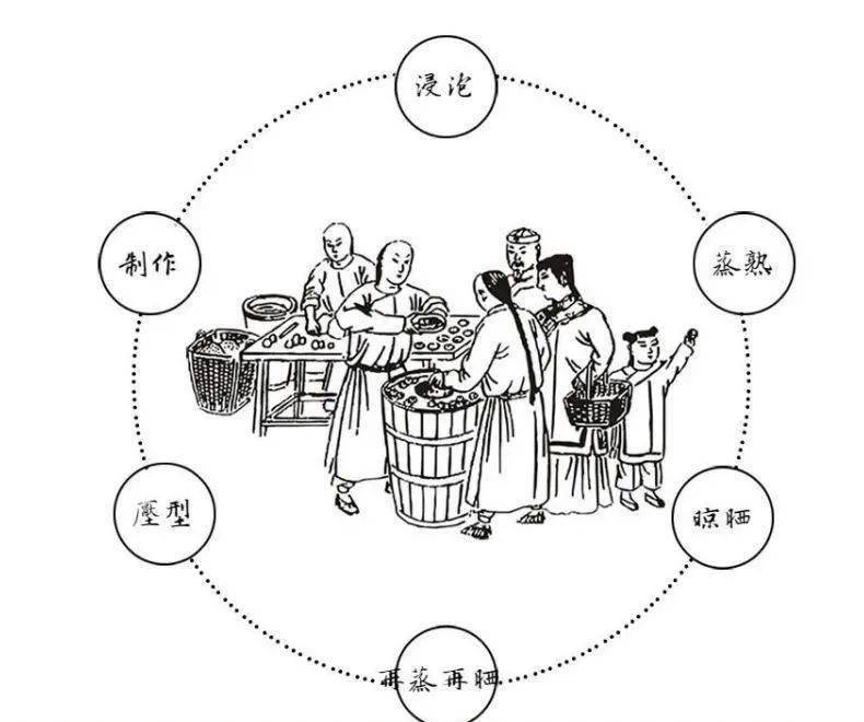 这就要提到我国沿袭下来的一种传统炮制方法:  九蒸九晒.