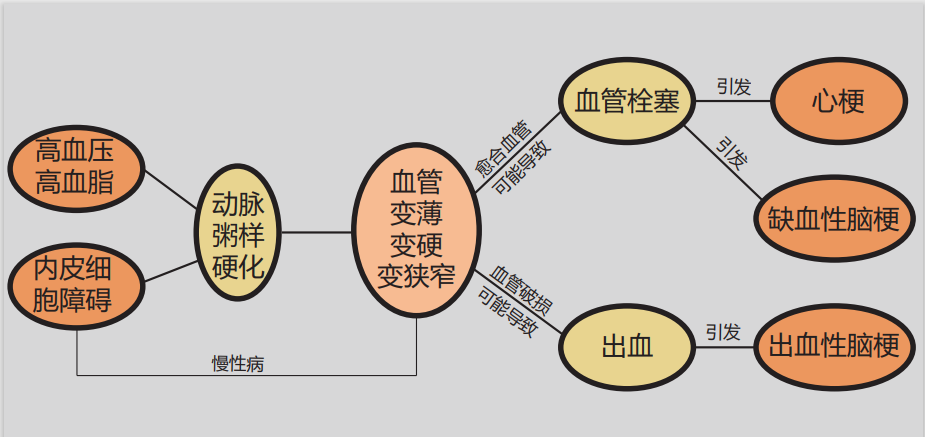 首页 产品评测 产品评测 血管内皮受损是导致心脑血管疾病的始动环节