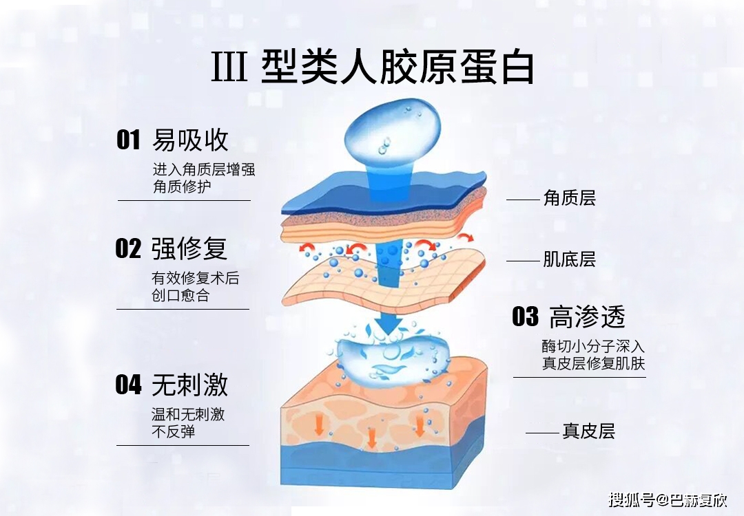 十大品牌胶原蛋白_什么牌子的蛋白胶原最好_胶原蛋白有哪些品牌